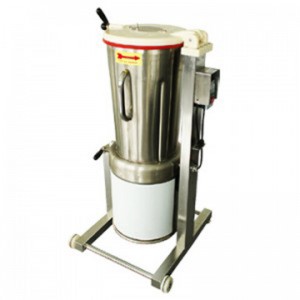 Vegetable Blender